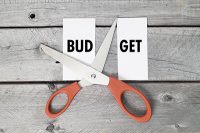budget cut